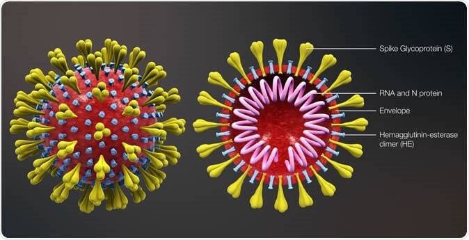 New coronavirus mutation found in the Philippines