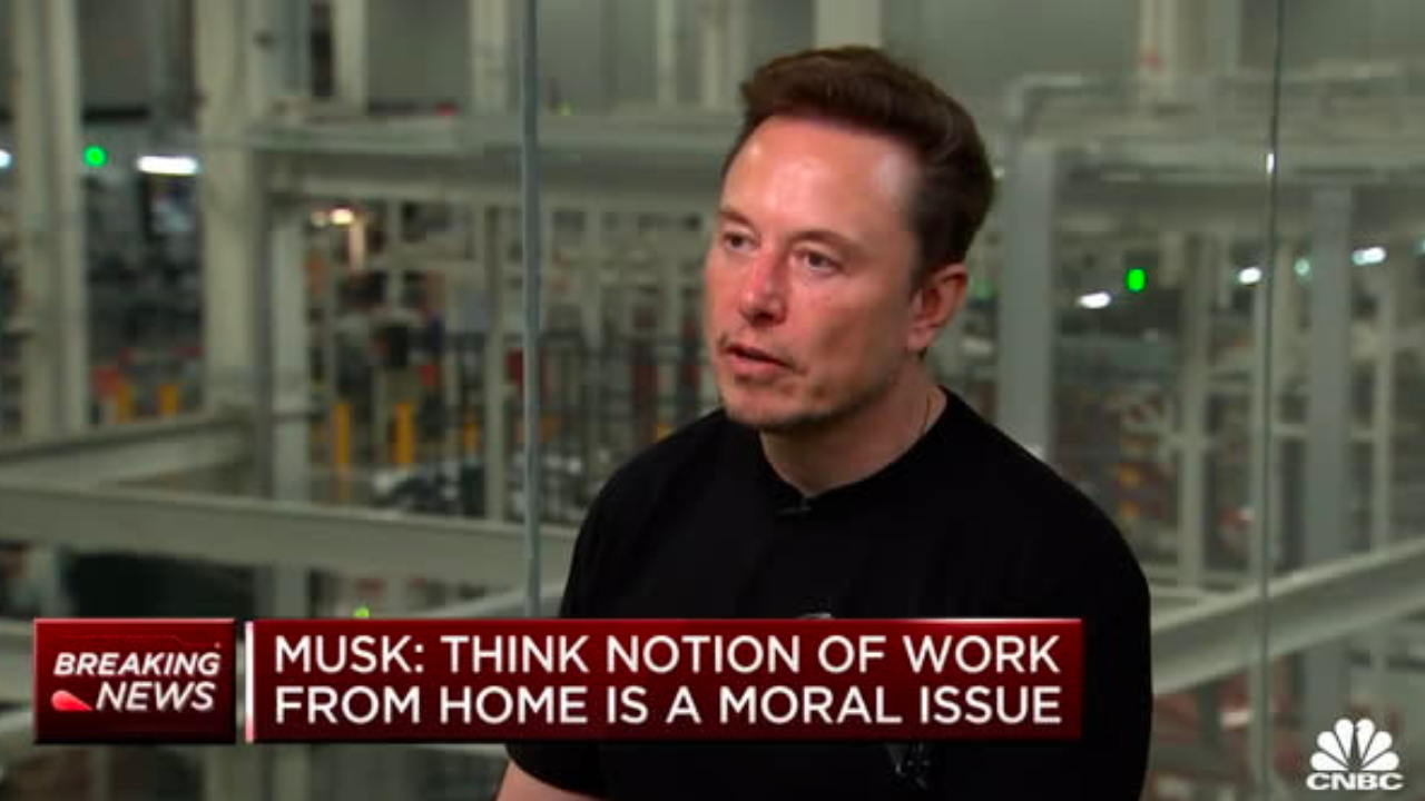 Elon Musk remote work backlash