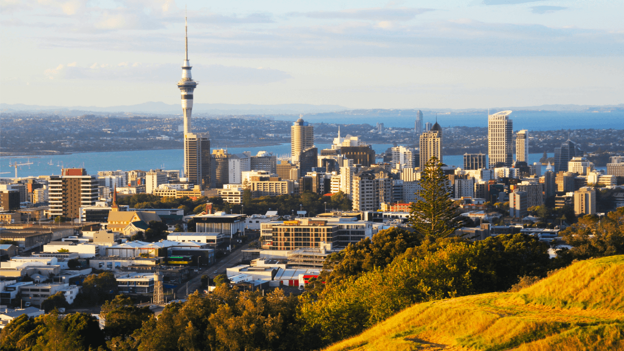 30 NZ firms outsource