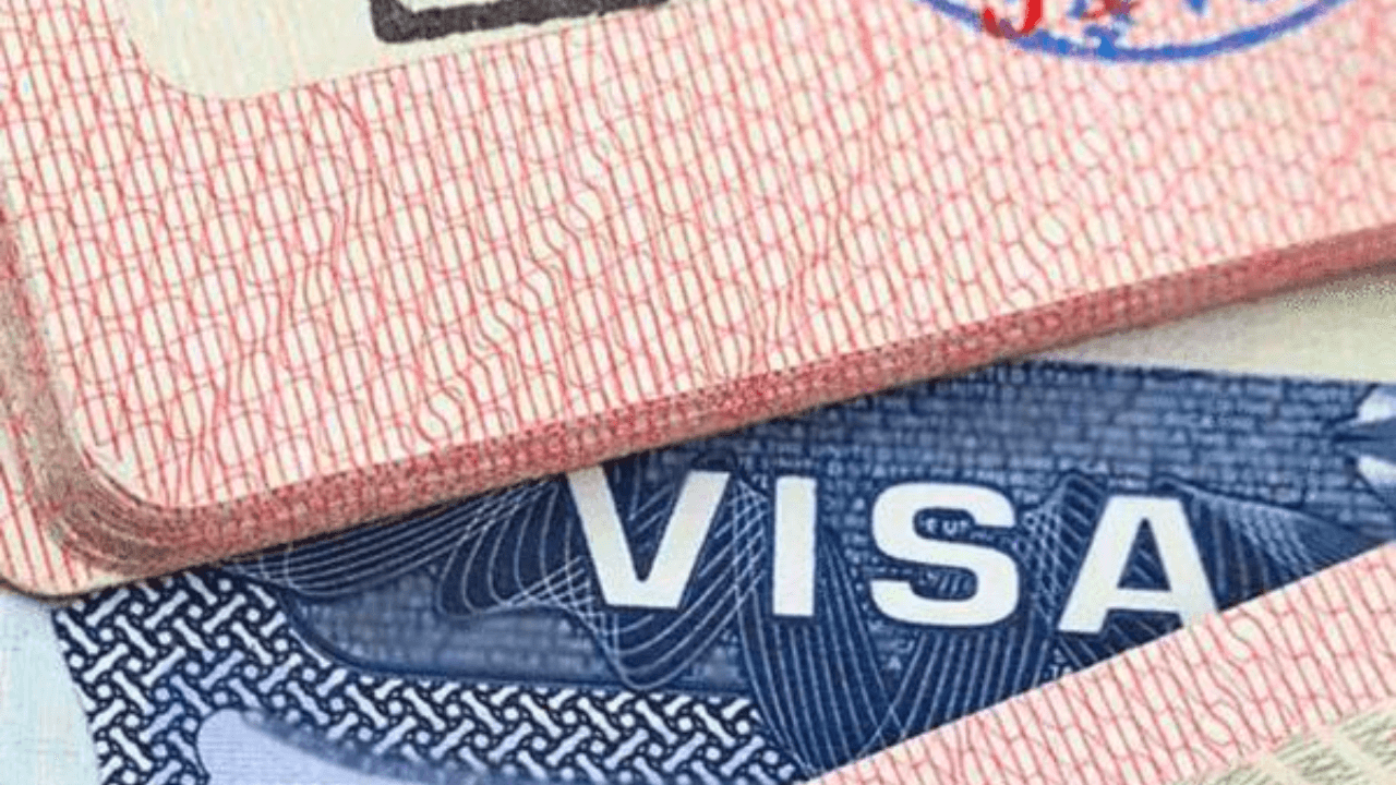 Visa outsourcing market 2029