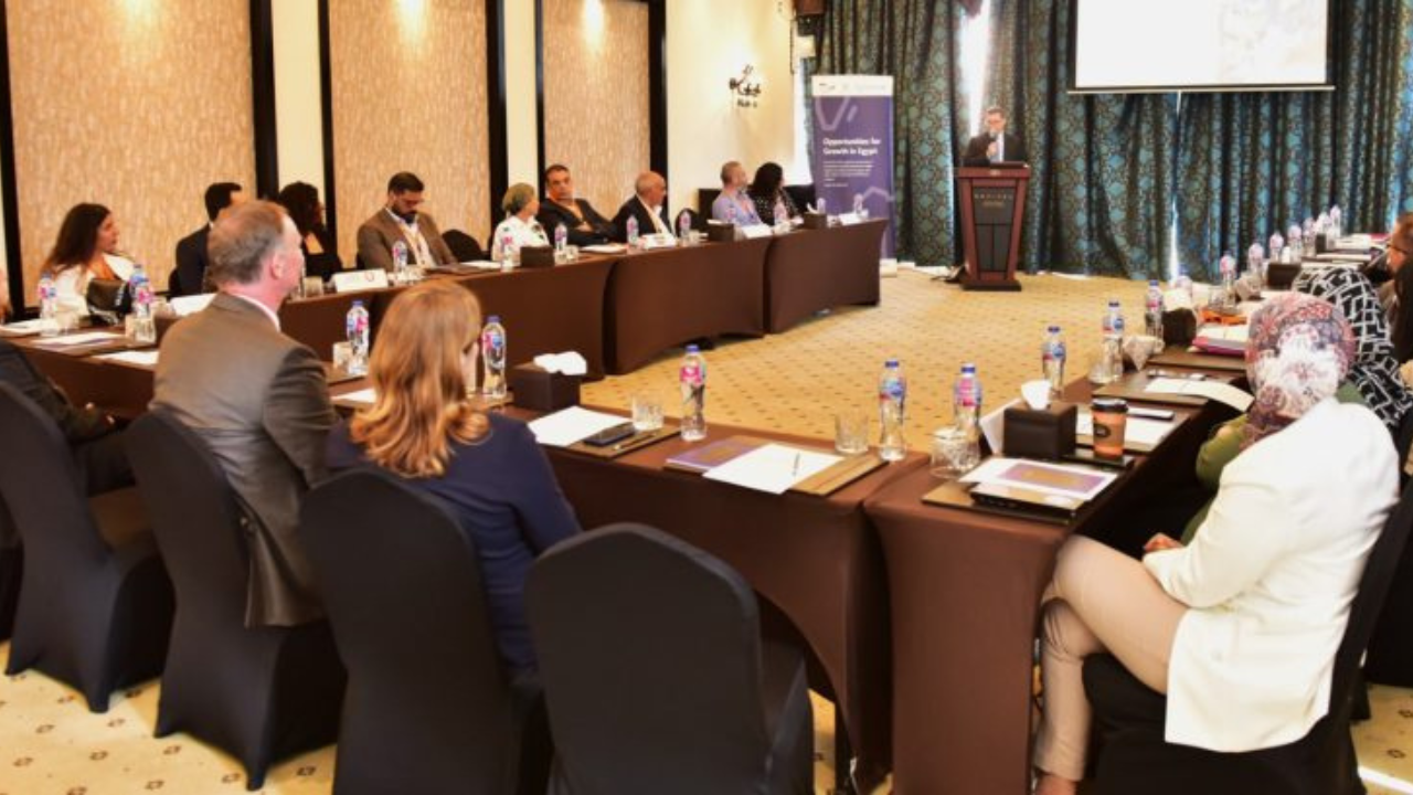 Germany to help Egypt IT outsourcing