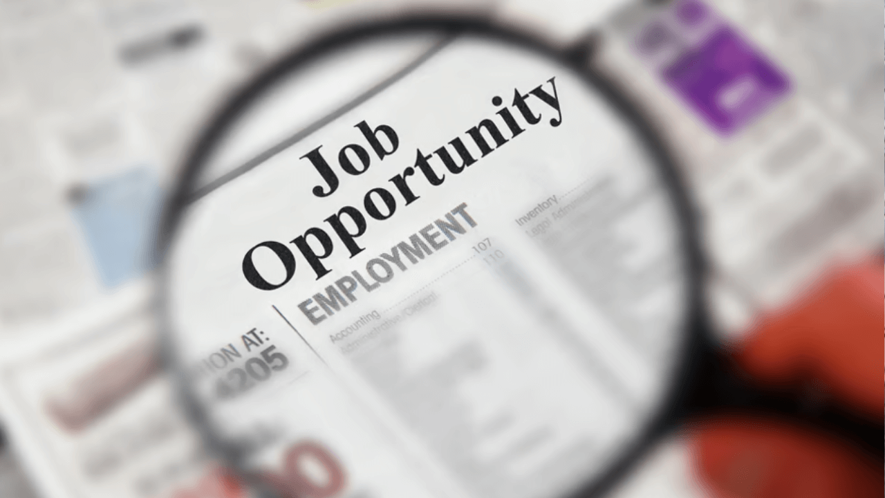 White-collar hiring in India June