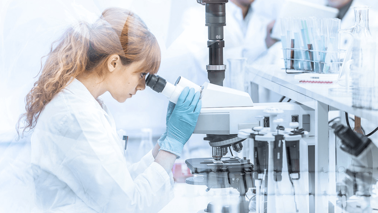 Global regulatory outsourcing market to hit $15Bn by 2033: Market.us
