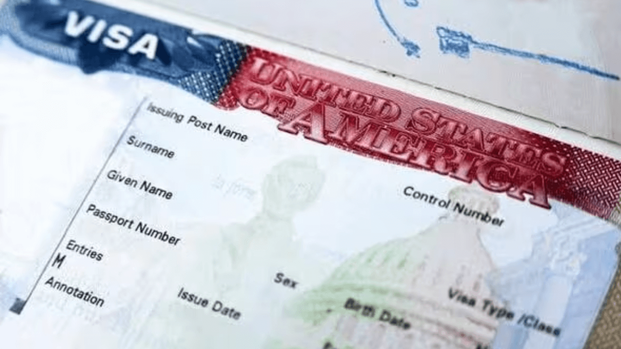 U.S. lawmaker defends H-1B visas for doctors amid healthcare crisis