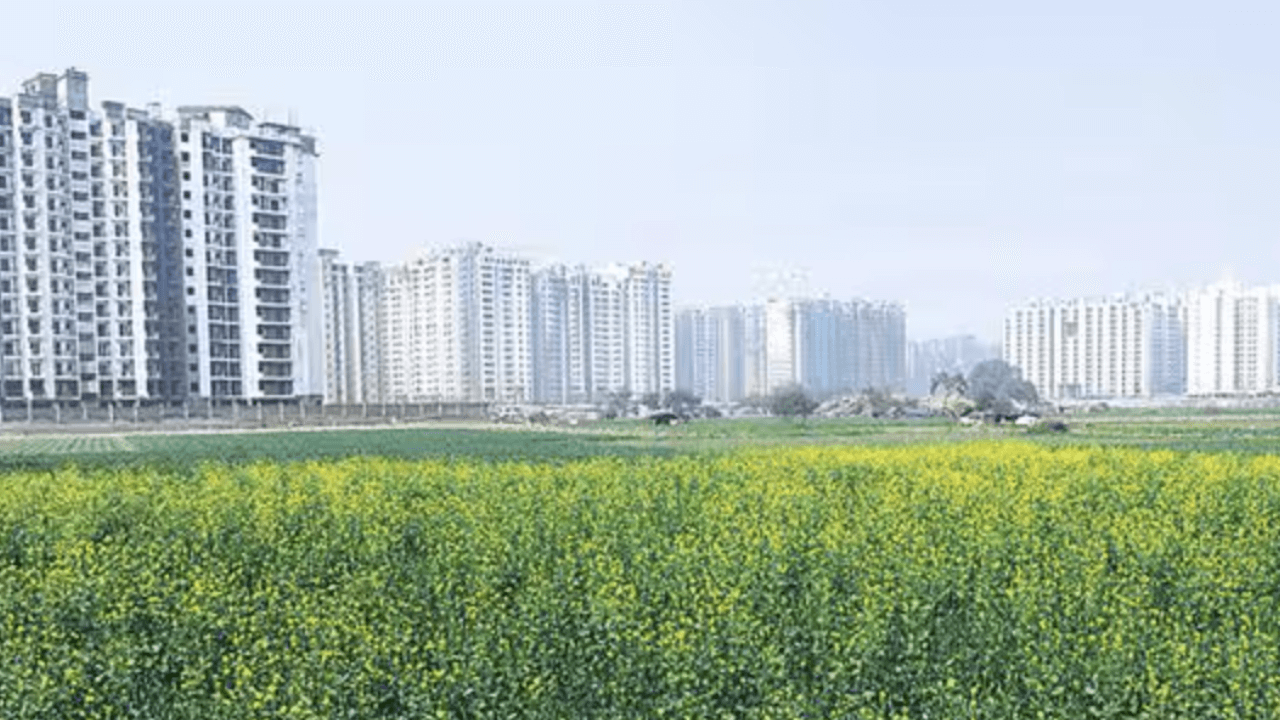 India&rsquo;s Greater Noida to auction 22 plots for starting IT, BPO firms