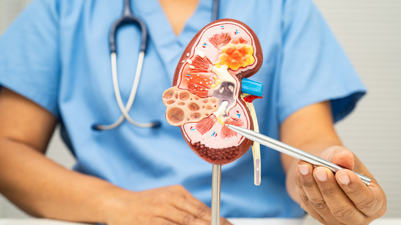 Virtual kidney care bridges rural health gap in Georgia: physician