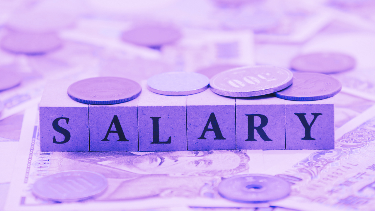 60% of job seekers reject jobs without salary range: Monster report